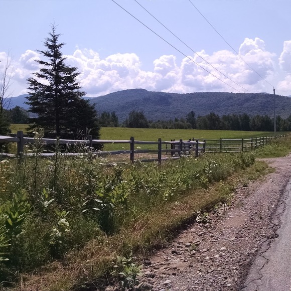 Profile Picture of Karen Tygert (@kmtygert) on Poshmark