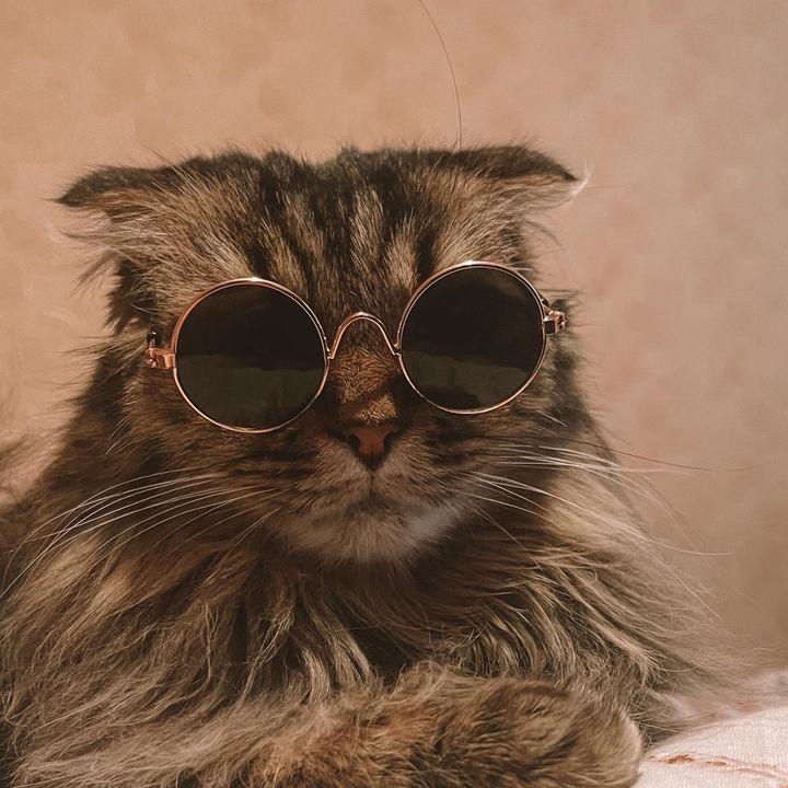 Profile Picture of Maxwell_star (@maxwell_star) on Tiktok