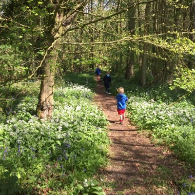 Profile Picture of Richard Seager (@RICHKNOWSBEST) on Twitter