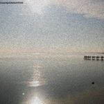 Profile Picture of Marilyn Feil (@marilynh9efeil18350) on Instagram