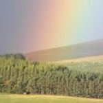 Profile Picture of Jim Hendry (@twojayshendry) on Instagram