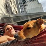 Profile Picture of Martin Grillo (@vegancricket) on Instagram