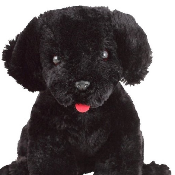 Profile Picture of Jen Deroy (@jderoy915) on Poshmark