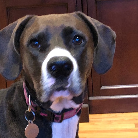 Profile Picture of Catherine Dragotta (@catherined0324) on Poshmark