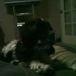 Profile Picture of Paula GarciaHavens (@rod.havens61) on Facebook