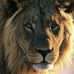 Profile Picture of Jerod Frey (@jerod.frey.5) on Facebook