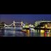 Profile Picture of Robert Felker (@felkerrobert) on Pinterest