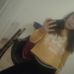 Profile Picture of Kasia Hohaus (@kasia.hohaus.92) on Facebook