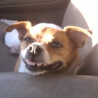 Profile Picture of James Galloway (@james-galloway-20) on Quora