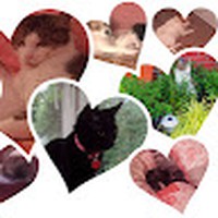 Profile Picture of Courtney Nd Kyle Birkett (@courtney-nd-kyle-birkett) on Quora