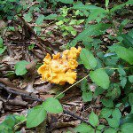 Profile Picture of Ed Morgan (@601ed) on Instagram