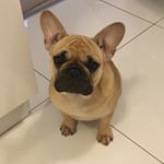 Profile Picture of Jean Horne (@jean_ison_) on Instagram