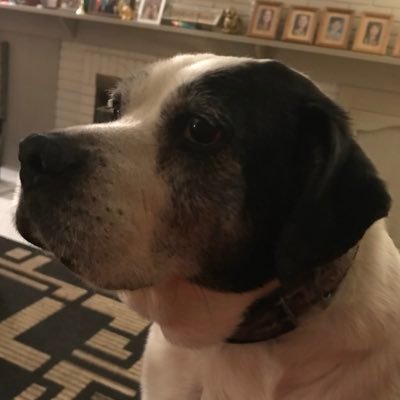 Profile Picture of Stephen Stenberg (@frnewz_stephen) on Twitter
