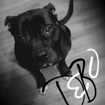 Profile Picture of Chad Thorne (@chadkevinthorne) on Twitter