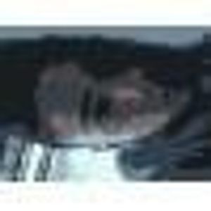 Profile Picture of Simone Sica (@393975893) on Myspace