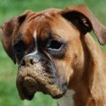 Profile Picture of Jason Lynn (@jasonmlynn) on Instagram