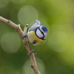 Profile Picture of Jean-jacques Groult (@jean-jacques.groult) on Flickr