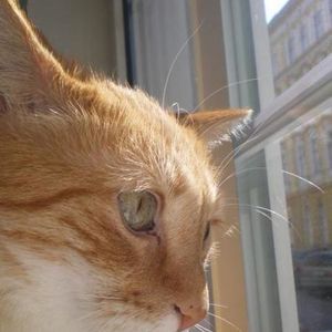 Sheila T - Myspace Profile Picture of Sheila T (@128623458) on Myspace