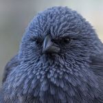 Profile Picture of Sean O'Kelley (@okelleyokelley) on Instagram