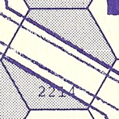 Profile Picture of David Rock (@granitepenguin) on Twitter