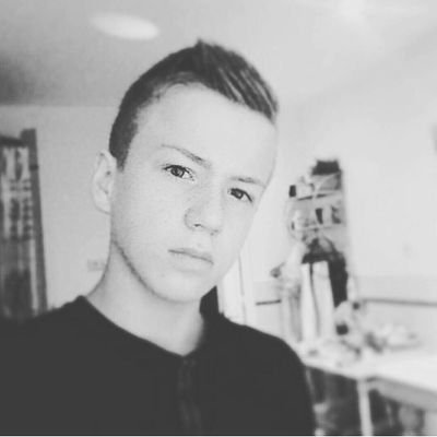Profile Picture of Ian Koppen (@iankppn) on Twitter