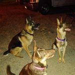 Profile Picture of Brandon P Wozniak (@bwozniak32) on Instagram