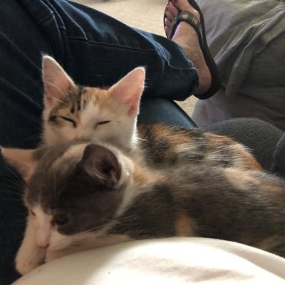 Profile Picture of Derek Kent (@derekkent14) on Twitter