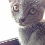 Profile Picture of Mike Jaramillo (@mikejaramillo1317) on Instagram