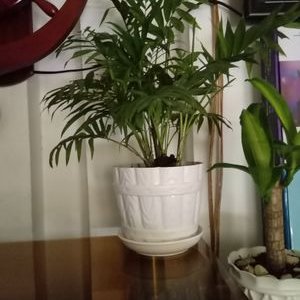 Profile Picture of TungVo (@TungVo66074014) on Twitter