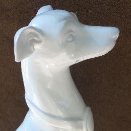 Profile Picture of Jenna Rudd (@whippet_iggy) on Twitter