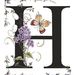 Profile Picture of Alice Hester (@alicehester779) on Pinterest
