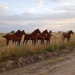 Profile Picture of Benja Minutti (@Benja-Minutti) on Facebook