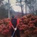 Profile Picture of Leon Gantt (@snaily1969) on Pinterest