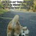 Profile Picture of Percy Du Preez (@percy.dupreez.52) on Facebook