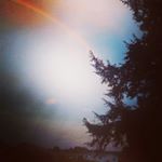 Alexander Lafleur - Instagram Profile Picture of Alexander Lafleur (@alexlafleur2206) on Instagram