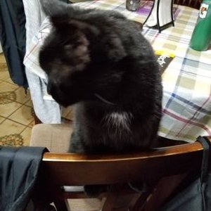 Profile Picture of Paul McMullin (@McMullin3939) on Twitter