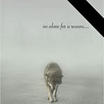 Profile Picture of Jeff Wininger (@Jeff-Wininger) on Facebook