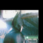 Profile Picture of Andre Ware (@andreware5905) on Youtube