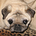 Profile Picture of Caroline-NH (@Caroline-NH) on Flickr