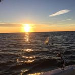 Profile Picture of Robert Picerno (@robert.picerno.18) on Facebook