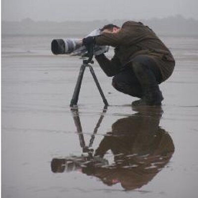 Profile Picture of Darren Hector (@WildlifePhotog) on Twitter