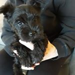 Profile Picture of Jason Henley (@henley5840) on Instagram