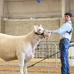 Profile Picture of Jacob Saenz (@jacob._saenz) on Instagram