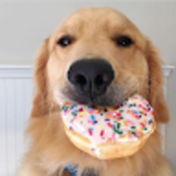 Profile Picture of Bianca Popa (@b_popa) on Poshmark