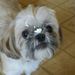 Profile Picture of robin lance (@lance1193) on Pinterest