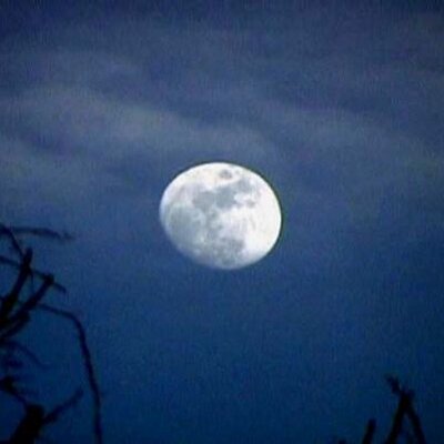 Richard Picciuto - Twitter Profile Picture of Richard Picciuto (@rap361) on Twitter