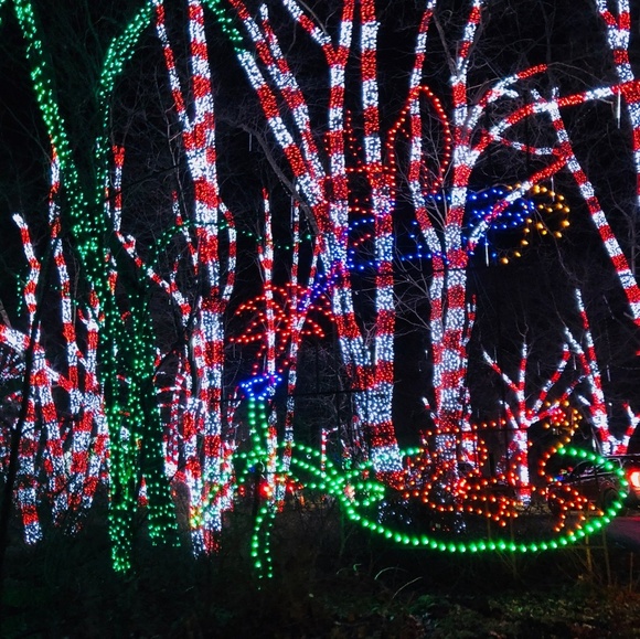 Atousa Gul - Poshmark Profile Picture of Atousa Gul (@ati1364) on Poshmark