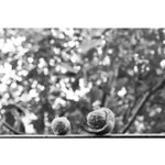 Profile Picture of Seth Bateman (@boxonwaverc) on Instagram