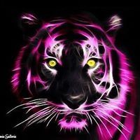 Profile Picture of Tony Trueman (@tonytrue222) on Pinterest