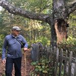 Profile Picture of David Anselmi (@anselmi_david) on Instagram